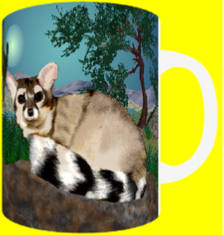 RINGTAIL’S RETREAT