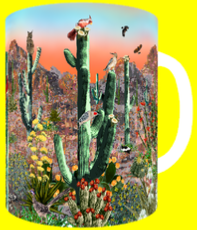 TUCSON MOUNTAIN PARK